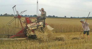 Ernteeinsatz und Platzregen