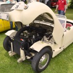 Münster Classics