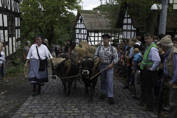 Nach_der_Ernte_Samstag_2014_GS (100)