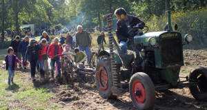 Erntedank- und Kartoffelfest