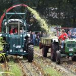 Feldtag Nordhorn 2016