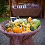 18. Historische Korn- und Hansemarkt Haselünne