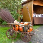 18. Historische Korn- und Hansemarkt Haselünne