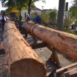 18. Historische Korn- und Hansemarkt Haselünne